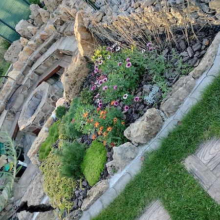 Villa Garden Bešeňová Kültér fotó