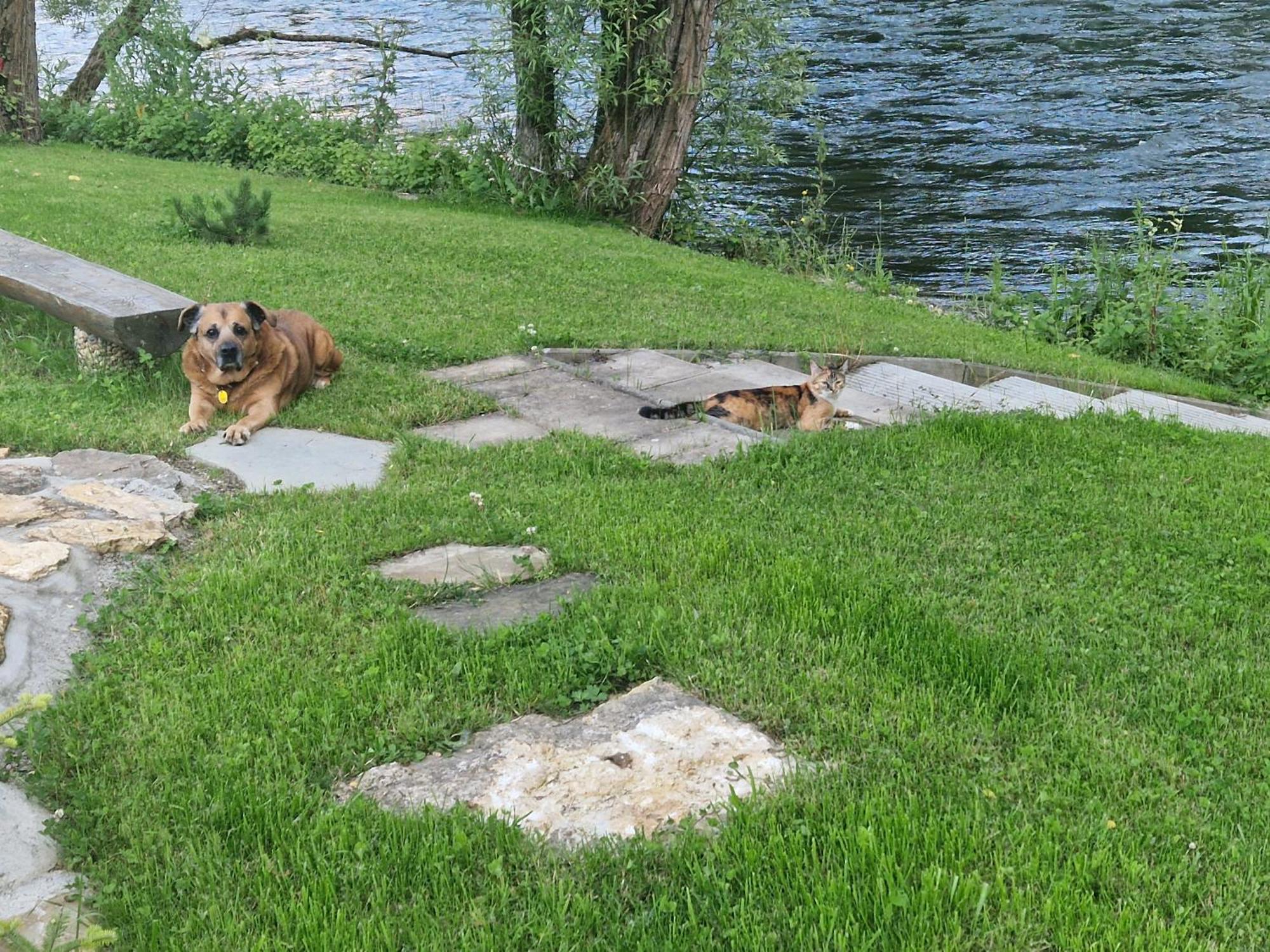 Villa Garden Bešeňová Kültér fotó
